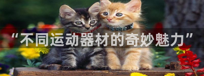 emc易倍体育官方正版app娱乐首页网站大全：“不同