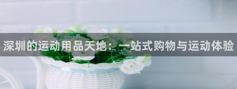 emc易倍体育官方正版app神州：深圳的运动用品天地：一站式