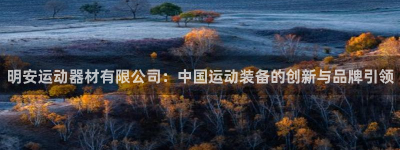 emc易倍体育官方正版app集团官网网址：明安运动器材有限公