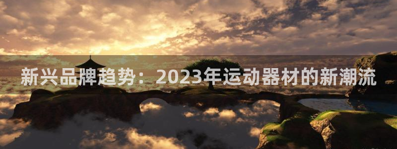 emc易倍体育官网下载平台注册流程视频：新兴品牌趋势：202