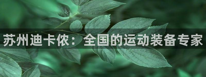 emc易倍体育官网下载开户：苏州迪卡侬：全国的运动装备专家