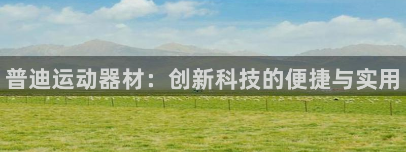 emc易倍体育官方正版app娱乐40996：普迪运动