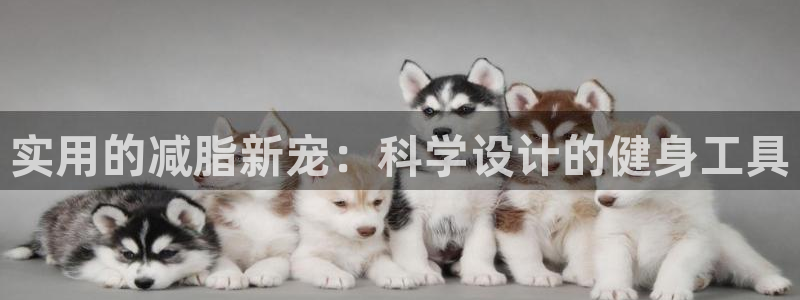 emc易倍体育官网下载招商电话号码查询是多少：实用的减脂新宠