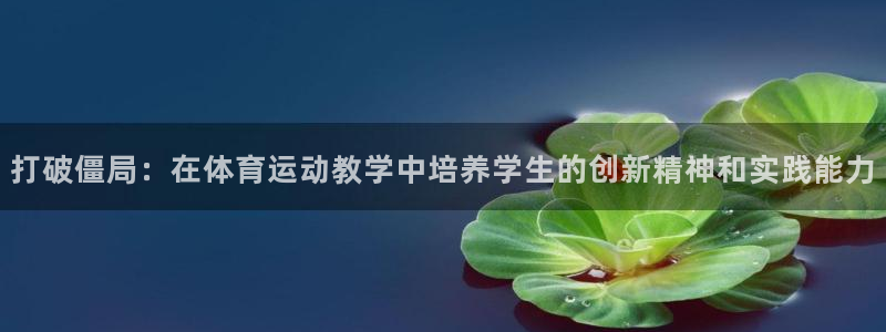 风速体育app下载官网最新版