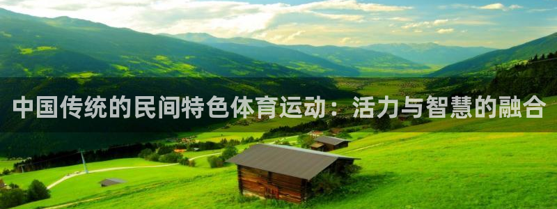 风速体育直播app