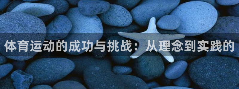 风速体育下载