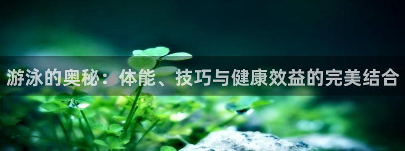 下载风速体育