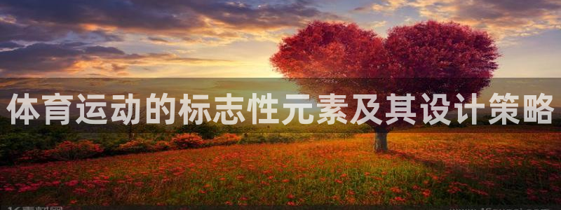 风速体育官网