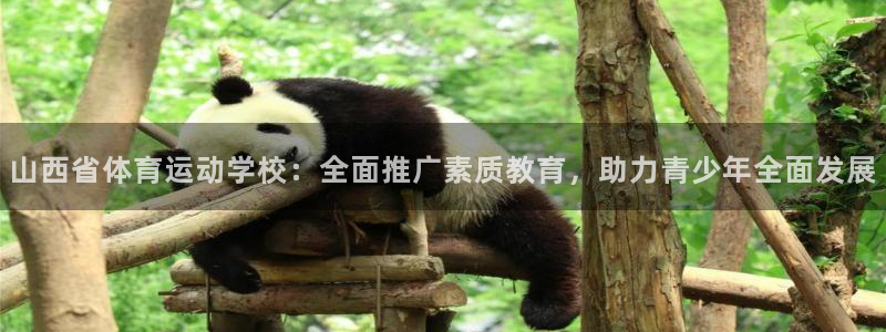 风速体育app下载安装最新版本