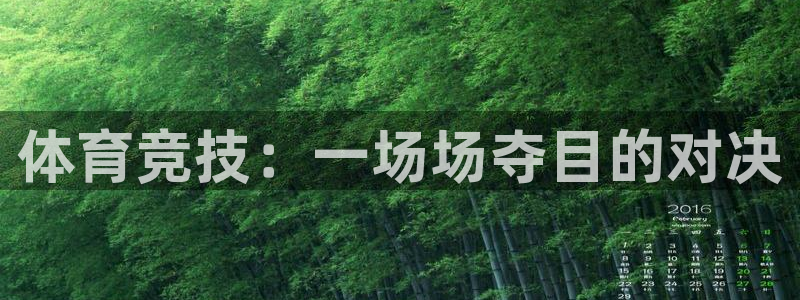 下载风速体育
