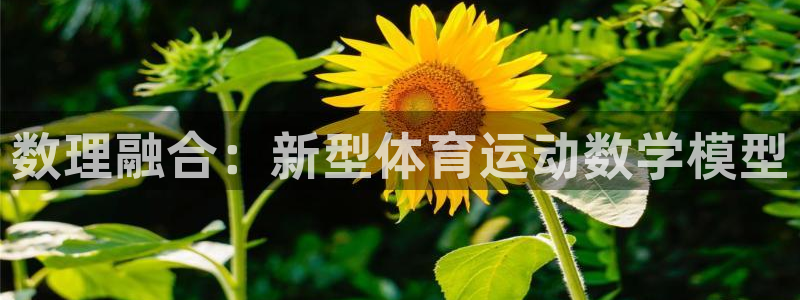 风速体育