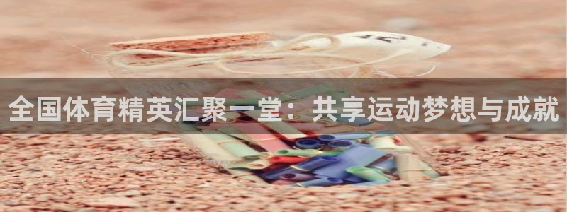 风速体育官网