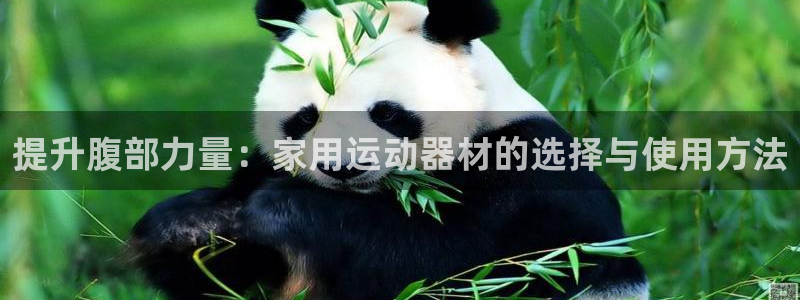 emc易倍体育官网下载平台注册：提升腹部力量：家用运动器材的